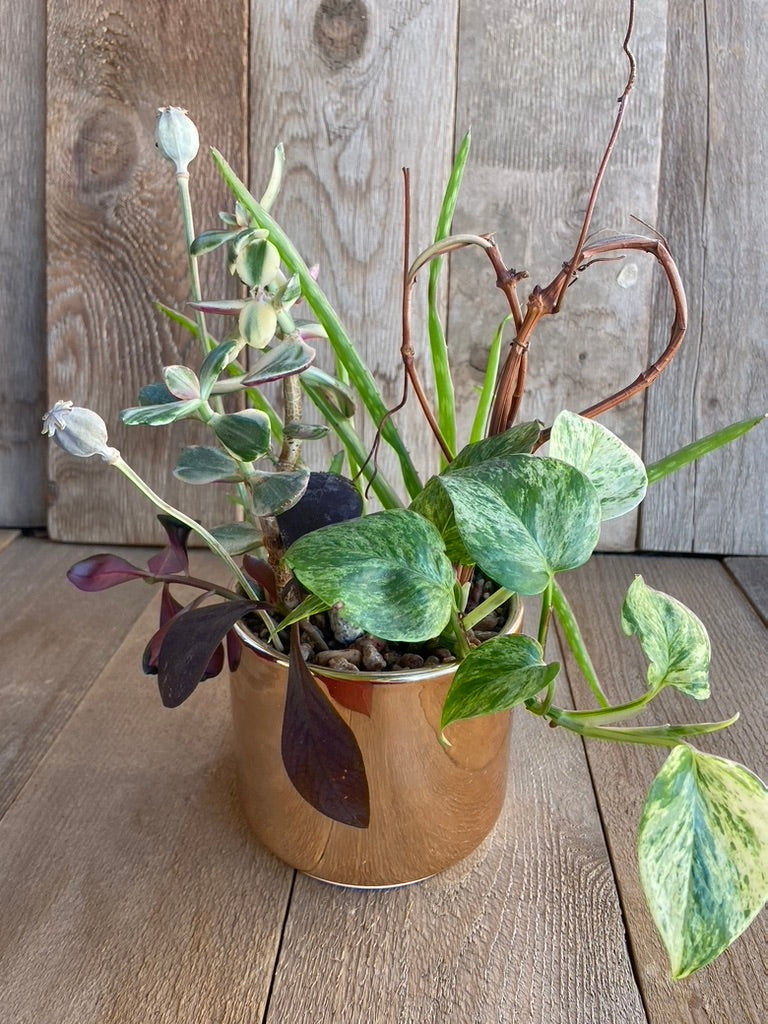 Mixed planter - medium