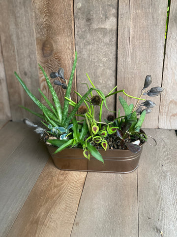 large mixed planter *